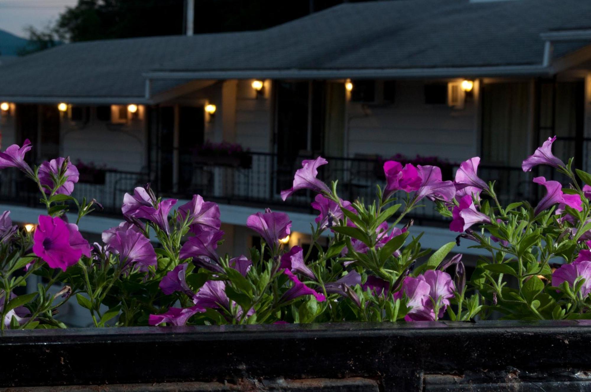 The Lake George Inn エクステリア 写真